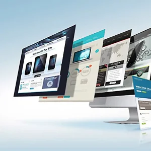 Standard Website